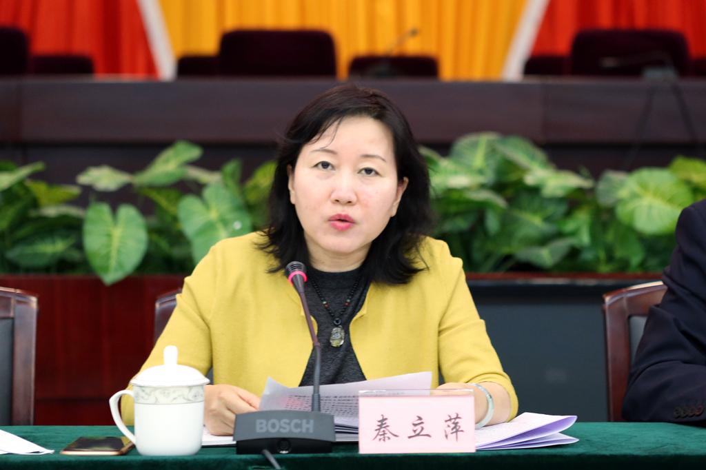 省第四指导组检察院现场指导专班负责人秦立萍讲话